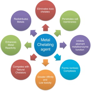 Schematic representations of the properties and functions of metal chelating agents. Schematic representations of the properties and functions of metal chelating agents.