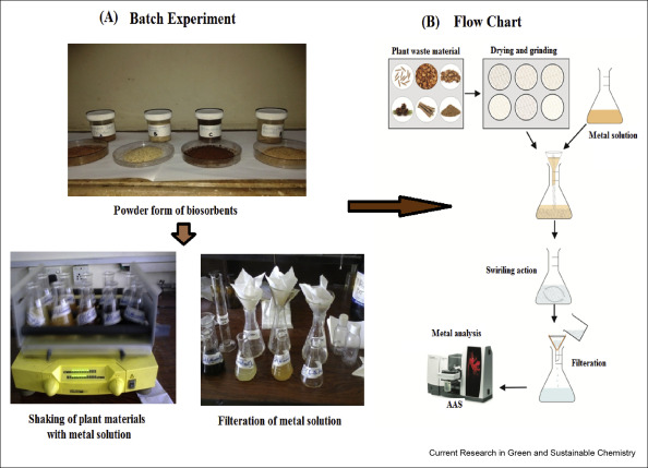 Figure showing the stepwise procedure for the preparation of bi-sorbents and removal of heavy metals from water.