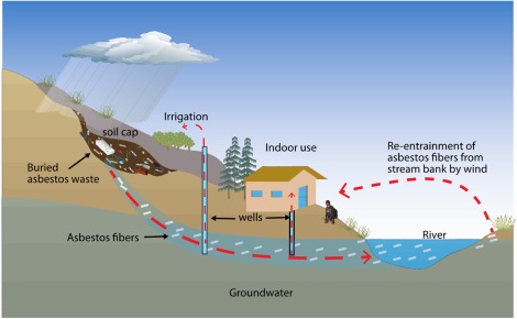 Potential transport pathways of asbestos fibers in groundwater from contaminated sites.