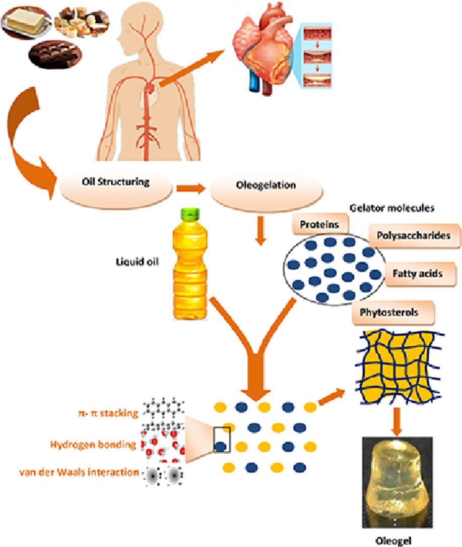 Graphical abstract of article