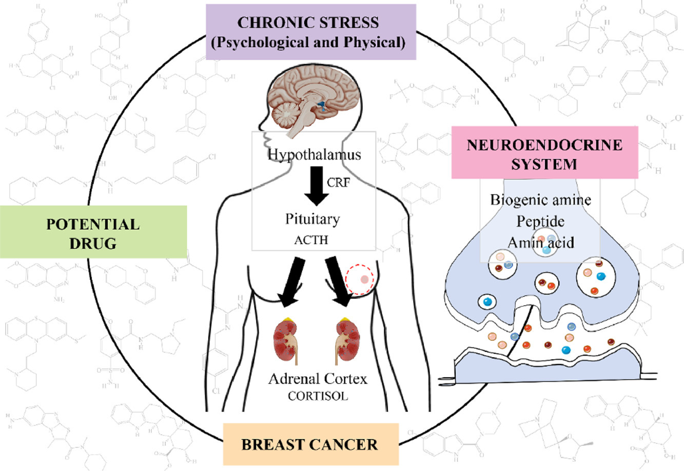 Graphical abstract of article Graphical abstract of article