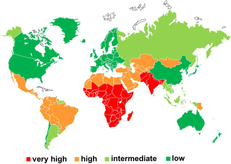 Fig. 1. Geographic distribution of HAV infections. HAV: colors represent different endemic patterns based on the age at which 50% of the population is HAV IgG positive [red: very highly endemic (< 5 years); orange: highly endemic (5–14 years); light green