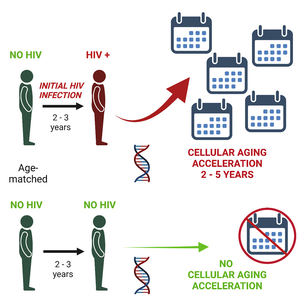 Graphical abstract