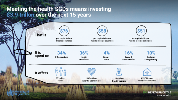 The cost of the health SGDs