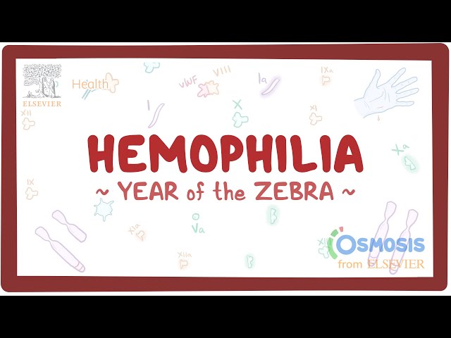 Rare Disease Education: Hemophilia
