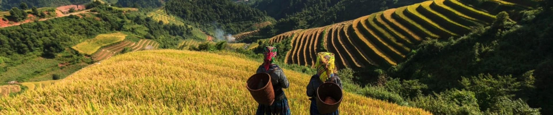 Women in field