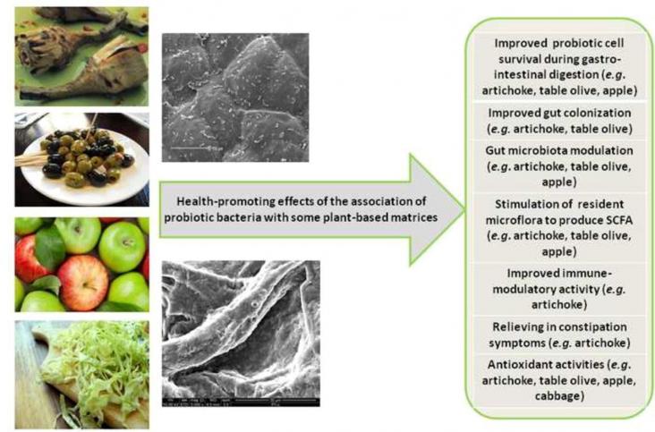 Graphical abstract of article