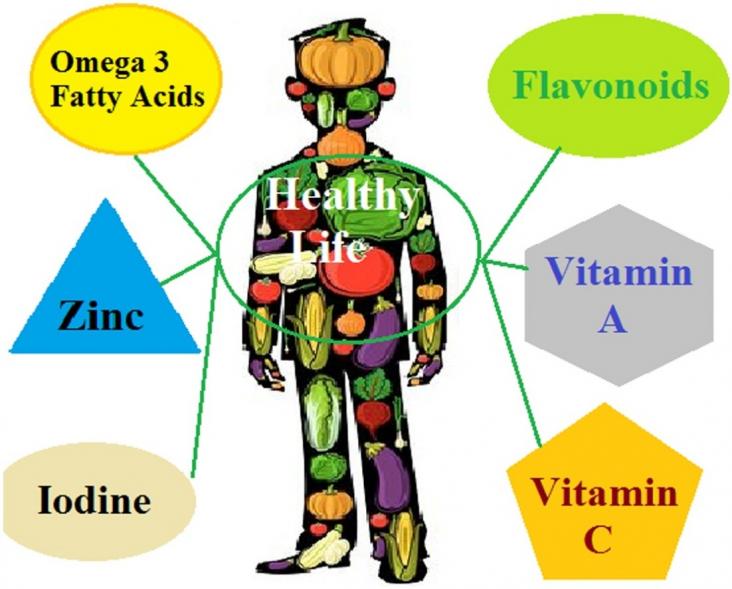 Graphical abstract of article