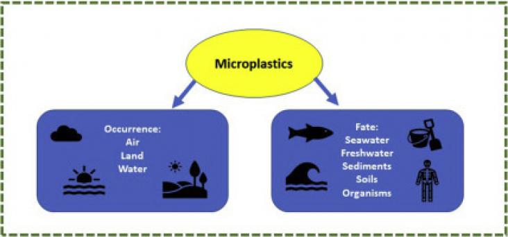 Graphical abstract