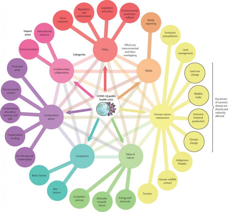 Effects of the COVID-19 public health crisis related to biodiversity loss and ecosystem health