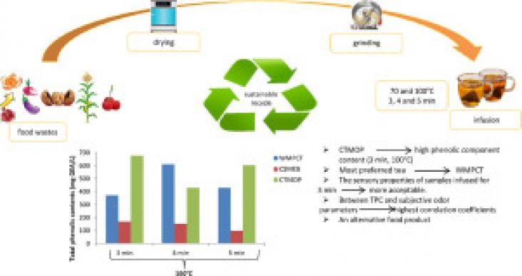 Graphical abstract