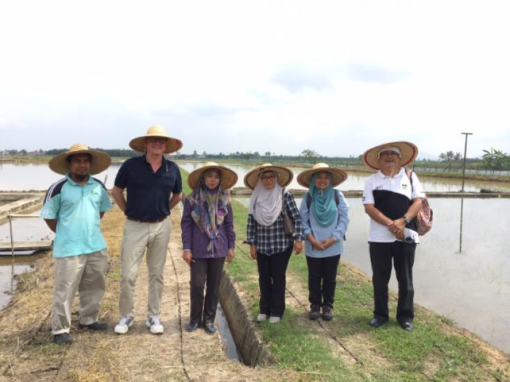 Field trial visit to the Center of Excellence for Rice in Malaysia. Field trial visit to the Center of Excellence for Rice in Malaysia, left to right: Shahrizal Abdul, Rob van Daalen, Raudhah Talib, Dr. Suzana Yusup, Noor Hafizah Ramli and Abu Bakar Ahmad.