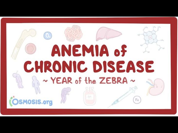 Anemia of Chronic Disease