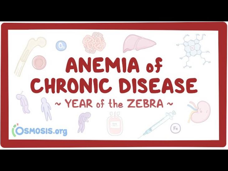 Anemia of Chronic Disease