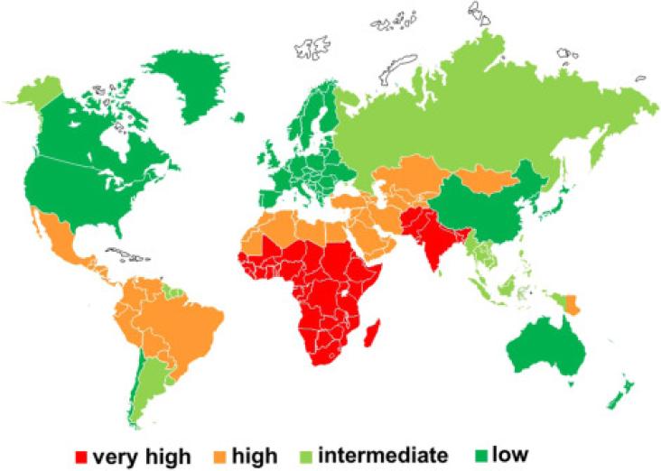 Fig. 1. Geographic distribution of HAV infections. HAV: colors represent different endemic patterns based on the age at which 50% of the population is HAV IgG positive [red: very highly endemic (< 5 years); orange: highly endemic (5–14 years); light green