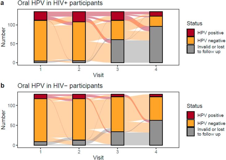 Alluvial plots denote transitions in oral HPV infection status (any genotype) over the first four study visits in a) HIV+ and b) HIV- participants who had at least 2 valid HPV tests before loss to follow up or completion of 4th visit.
