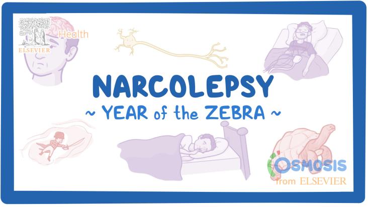 Narcolepsy