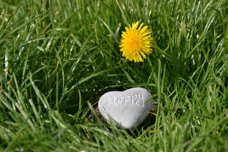 Image of a flower next to a heart shaped rock with the word "Happy" painted on it 