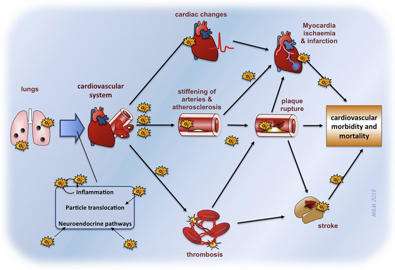 Graphical abstract of article Graphical abstract of article