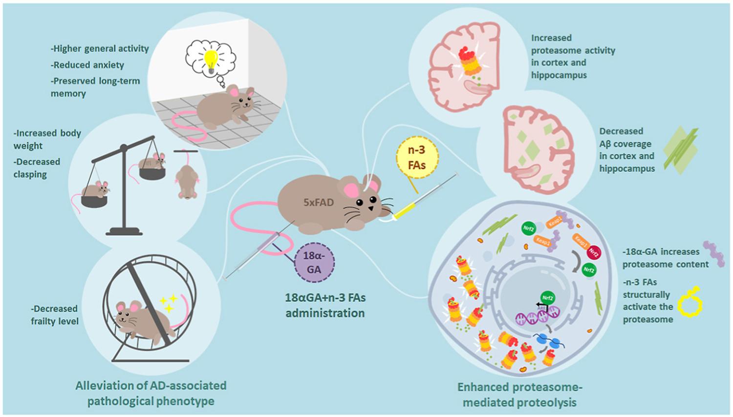 Graphical abstract