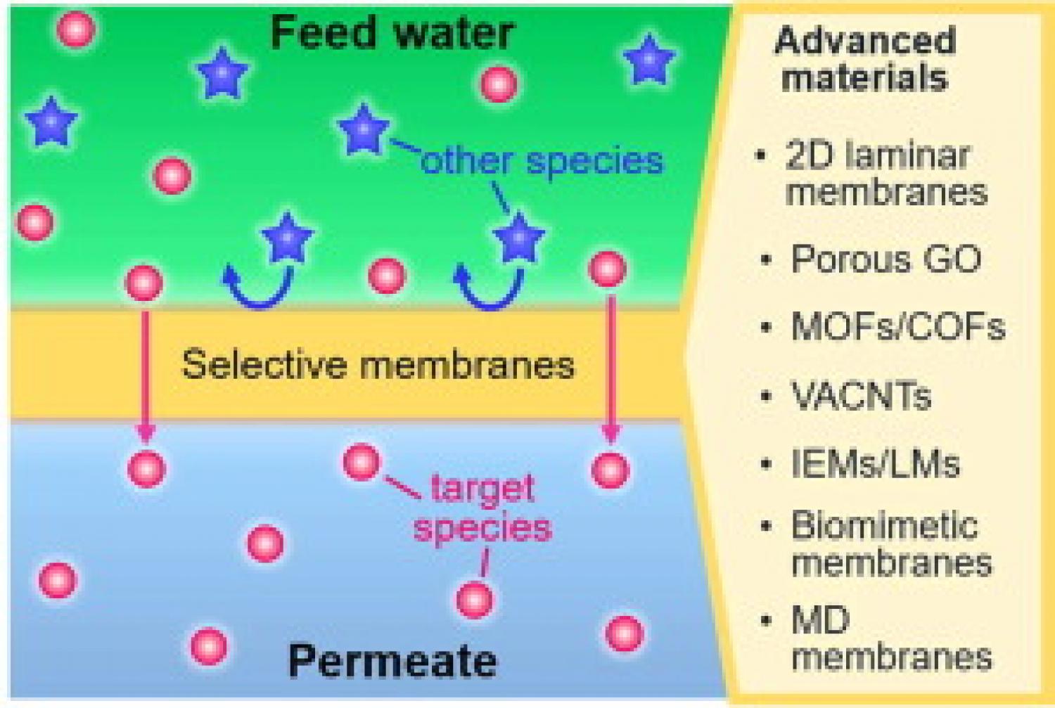 Graphical abstract