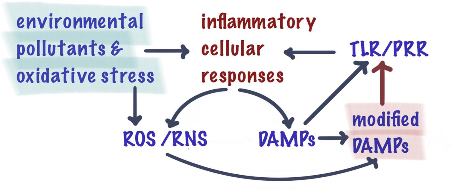 Graphical abstract of article