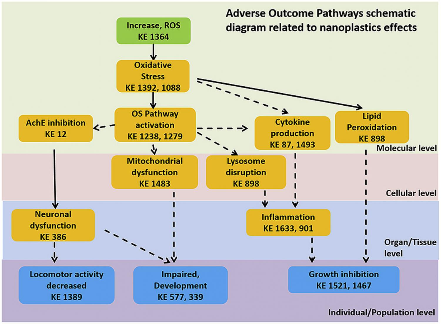 Graphical abstract of article