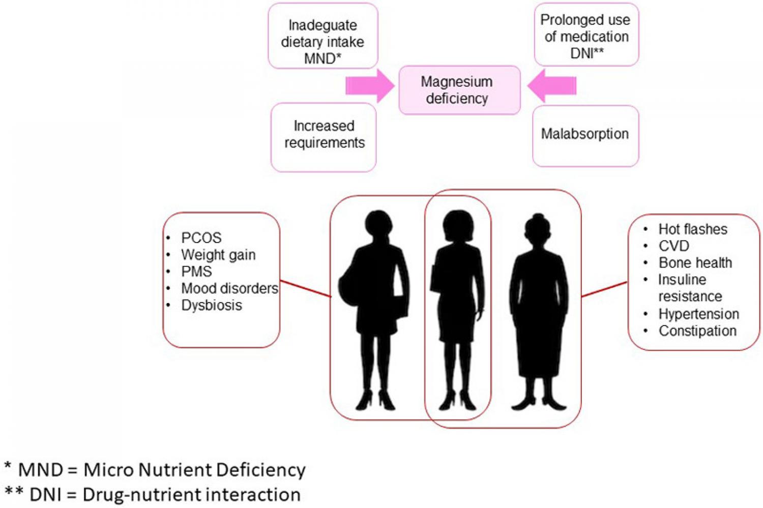 Graphical abstract of article