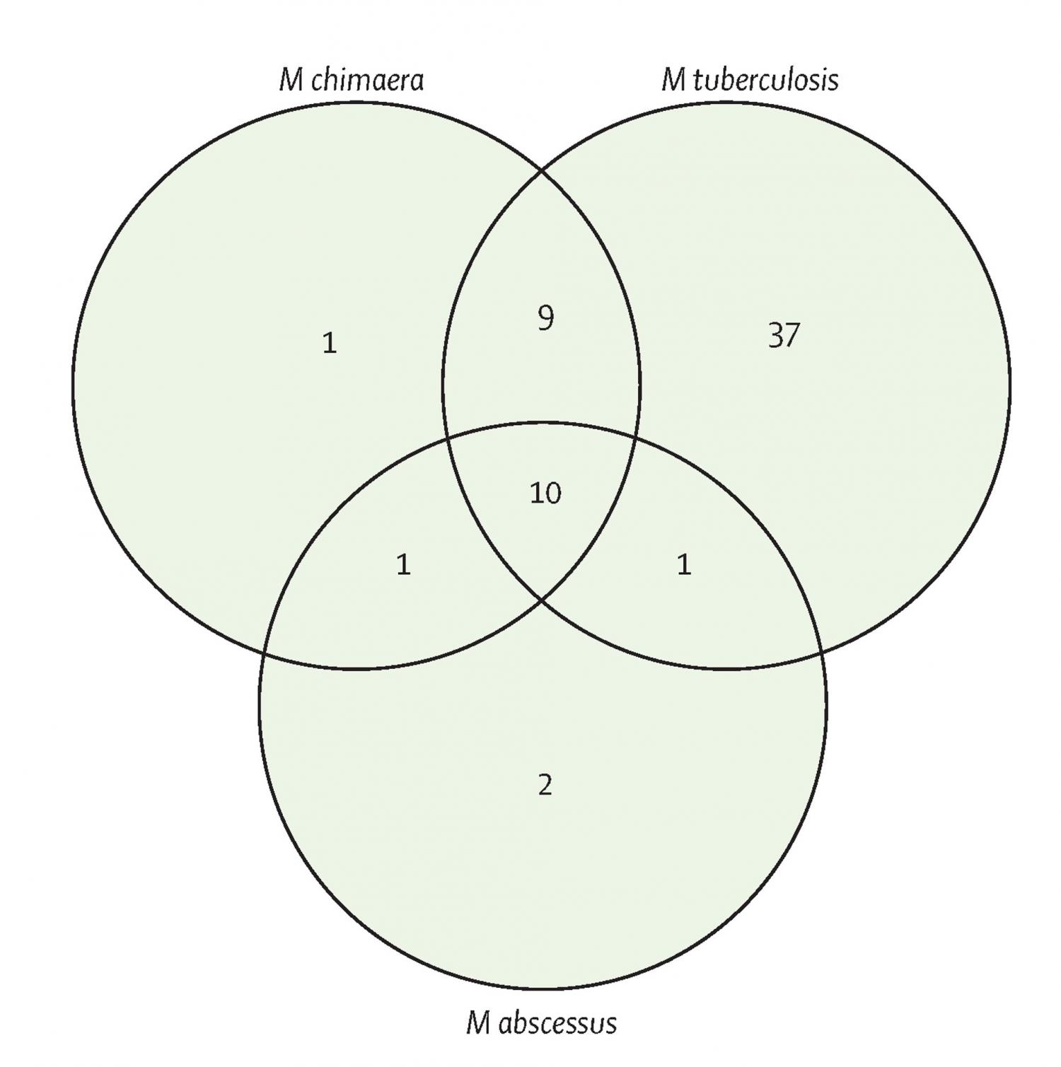 Venn diagram describing the overlap in antimicrobial compound hits against M chimaera, M abscessus, and M tuberculosis. 