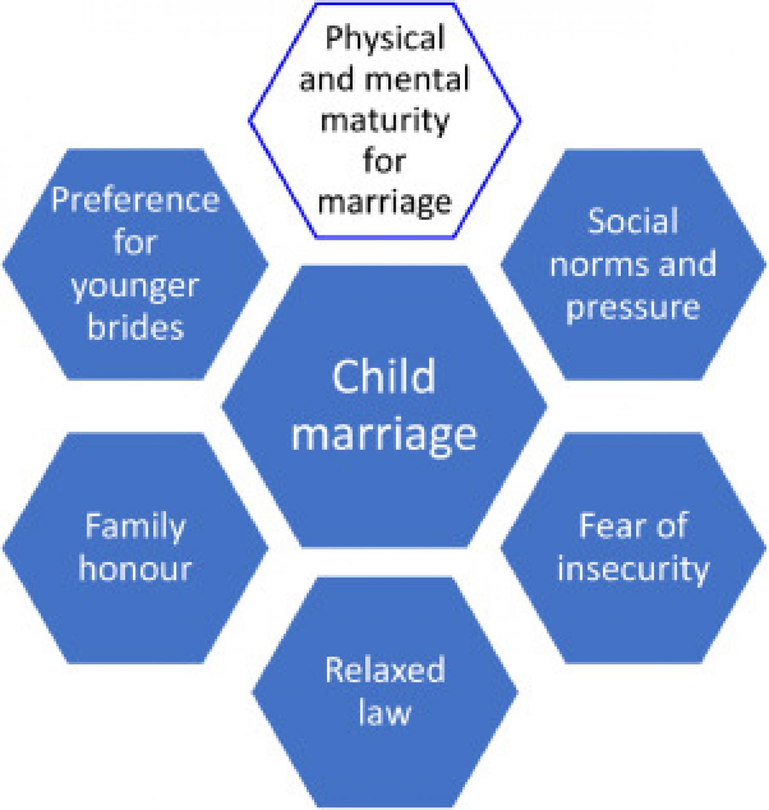 Factors influencing child marriage. All the factors except “physical and mental maturity for marriage” promote child marriage