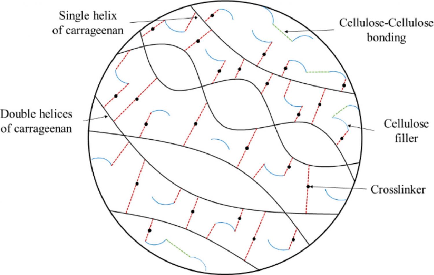 Graphical abstract of article Graphical abstract of article