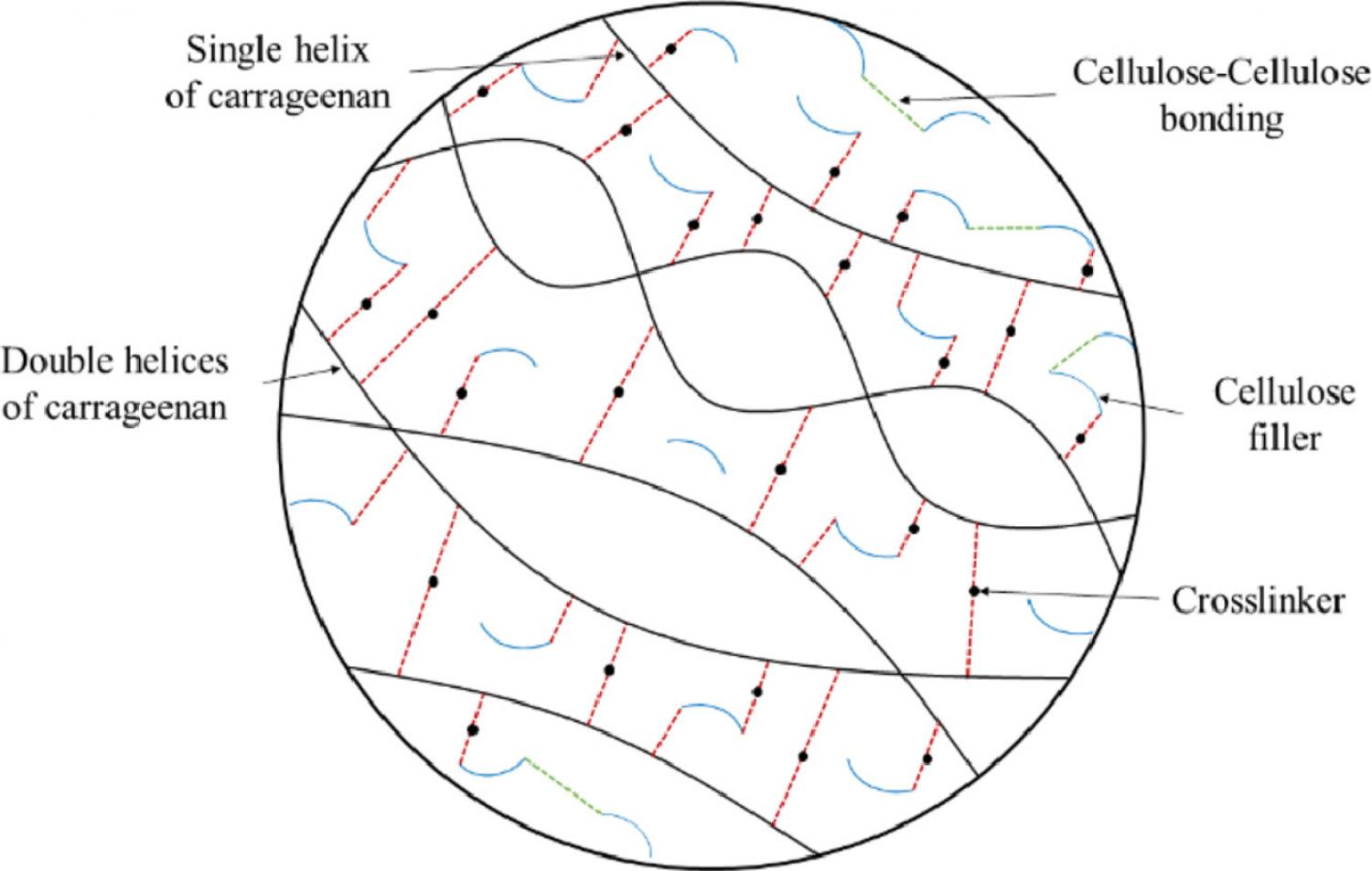 Graphical abstract of article