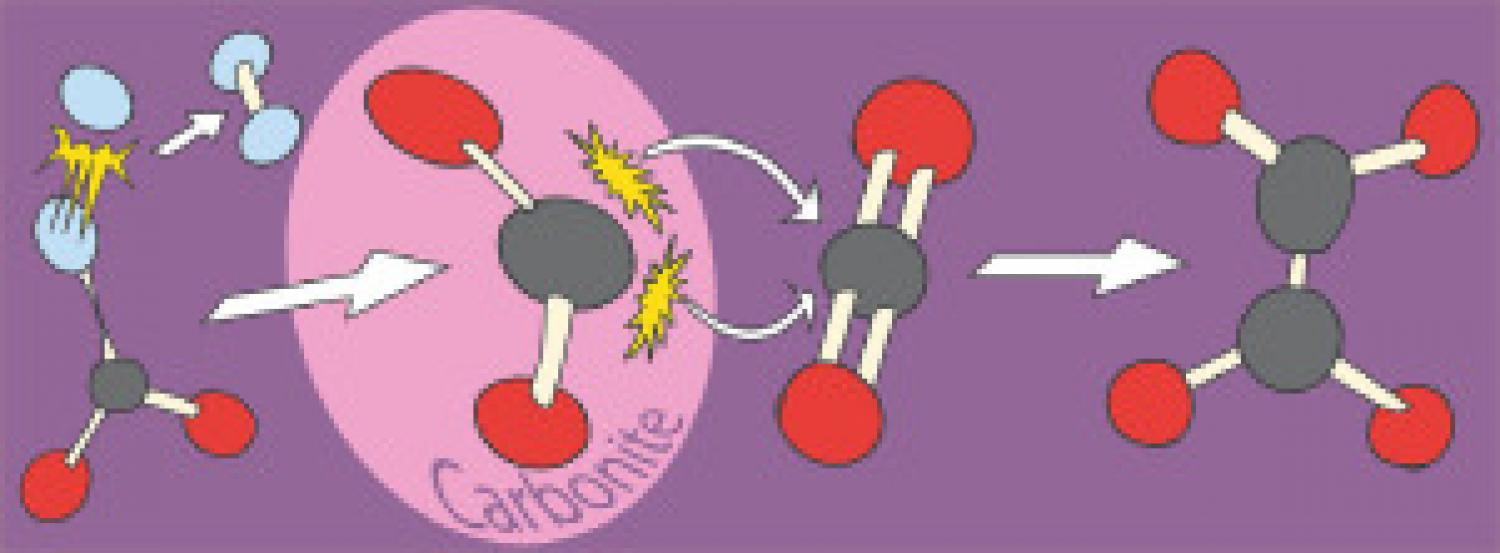 Graphical abstract