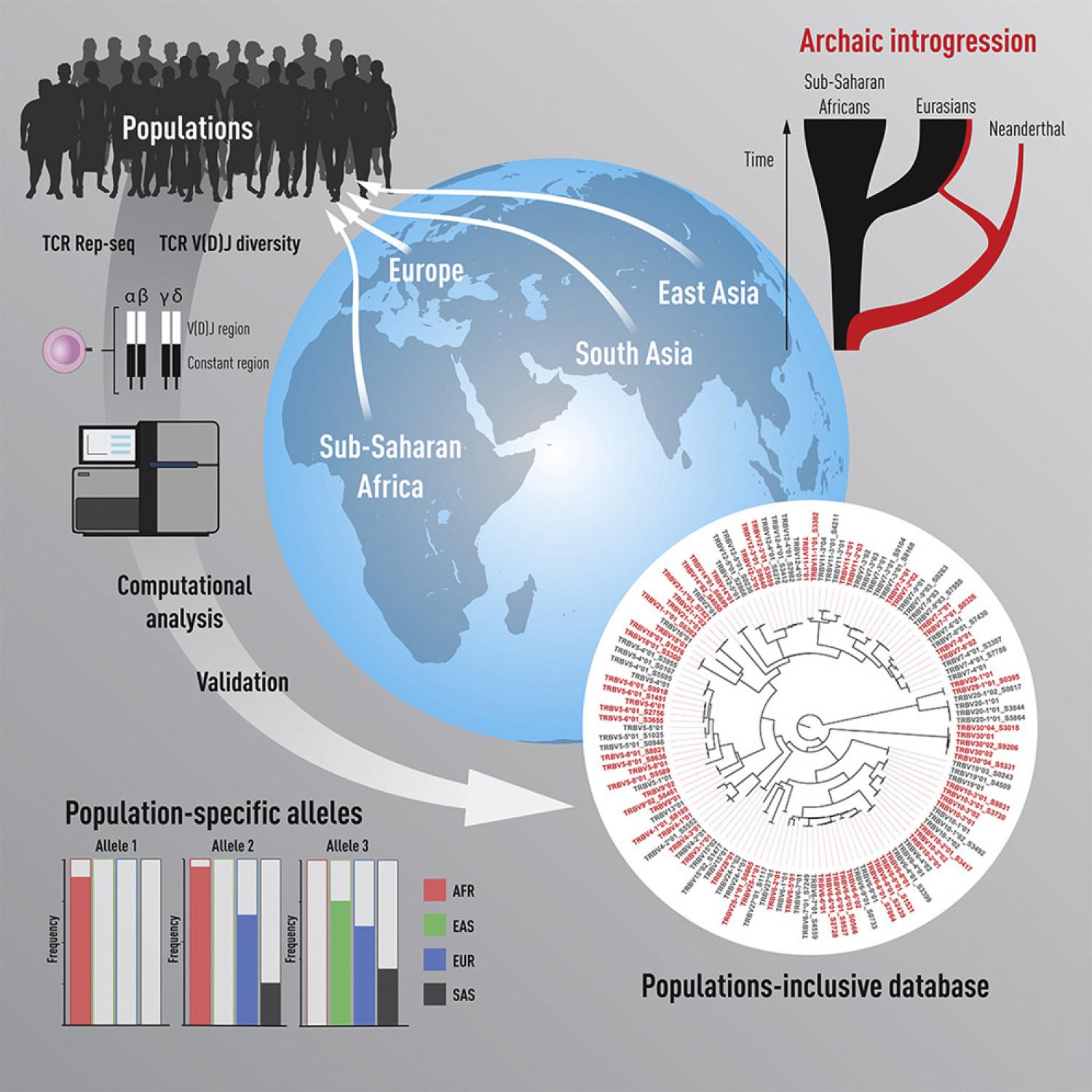 Graphical abstract