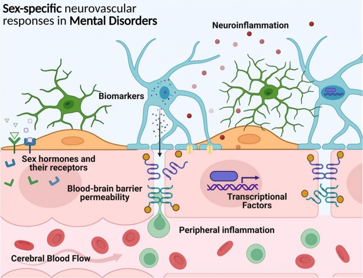 Graphical abstract of article