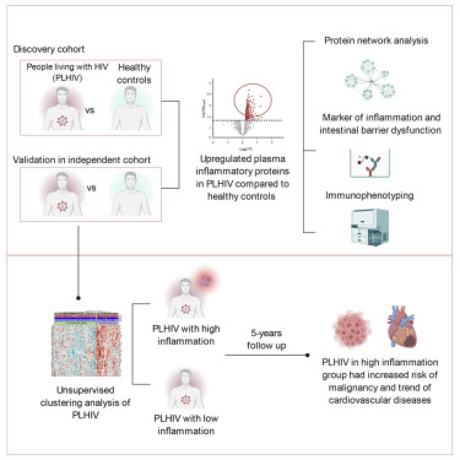 Graphical abstract