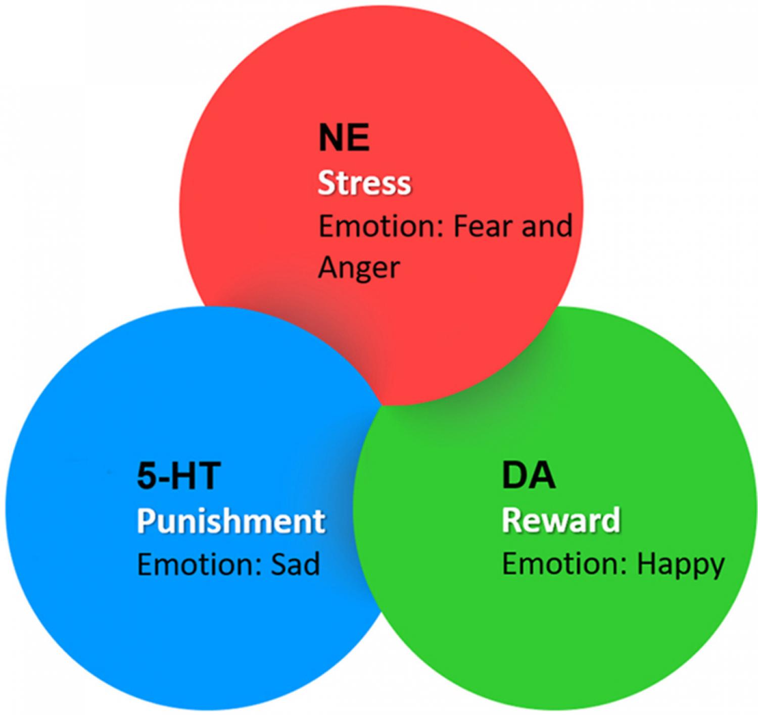 Graphical abstract of article