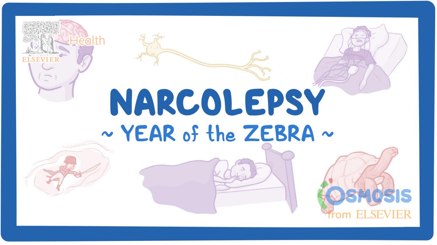 Narcolepsy