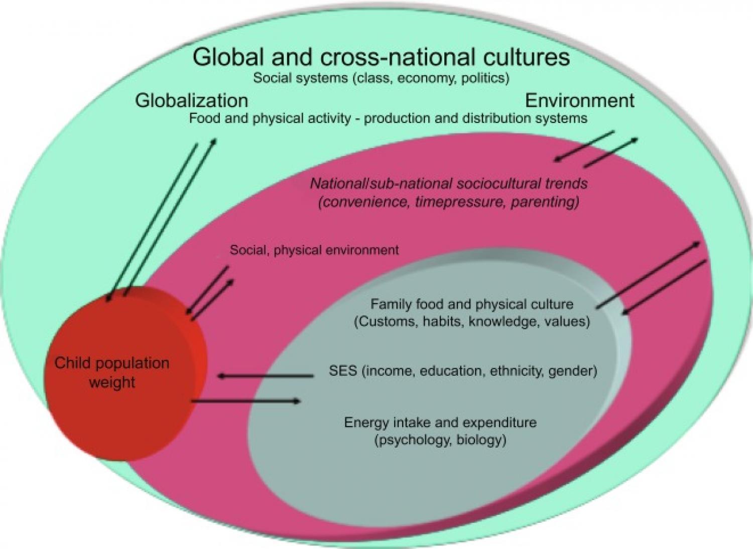 Sociocultural and familial contexts of childhood obesity.