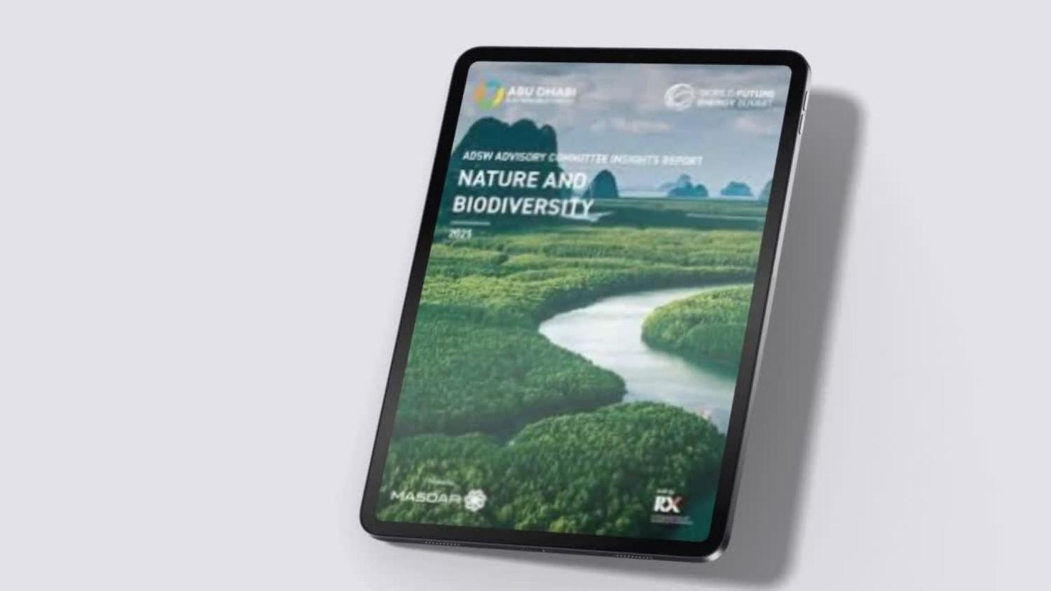 A river bend meandering through a lush green landscape